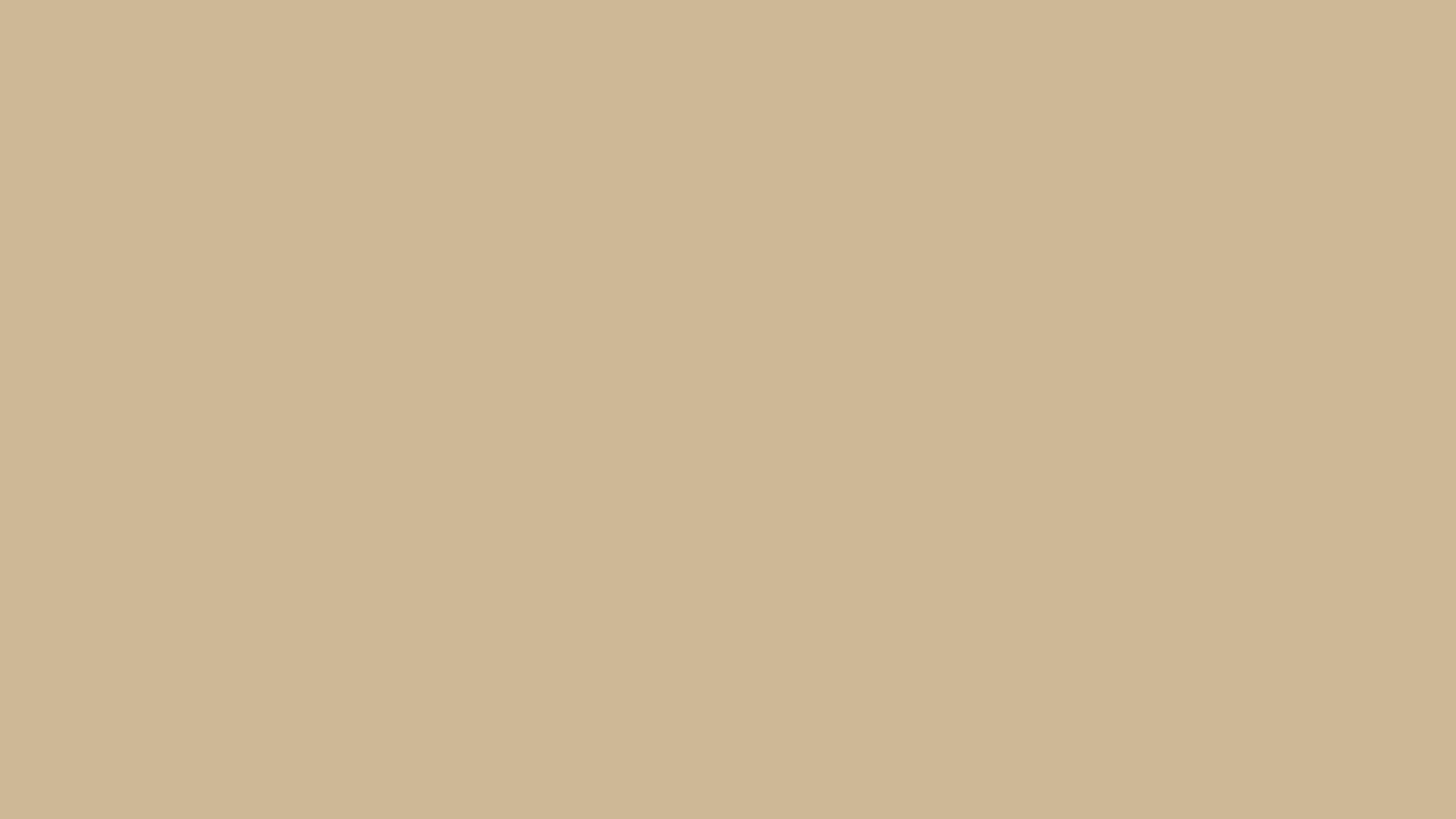 Kode warna warm beige #CEB896